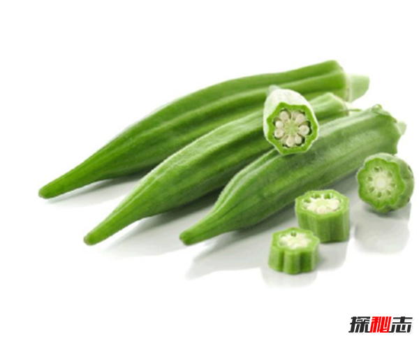秋葵是什么东西?不要再被秋葵忽悠了真相在这(蔬菜之王)249 / 作者:UFO爱好者 / 帖子ID:104977