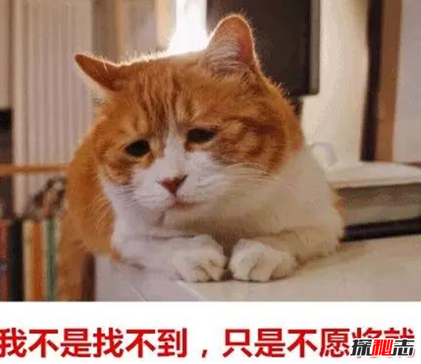你现在还单身吗?揭秘一直单身的真相(不是找不到只是不愿将就)627 / 作者:UFO爱好者 / 帖子ID:104973