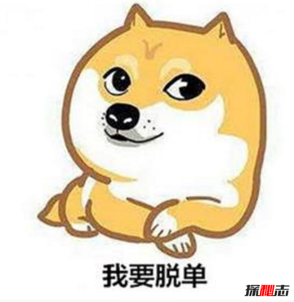 你现在还单身吗?揭秘一直单身的真相(不是找不到只是不愿将就)511 / 作者:UFO爱好者 / 帖子ID:104973