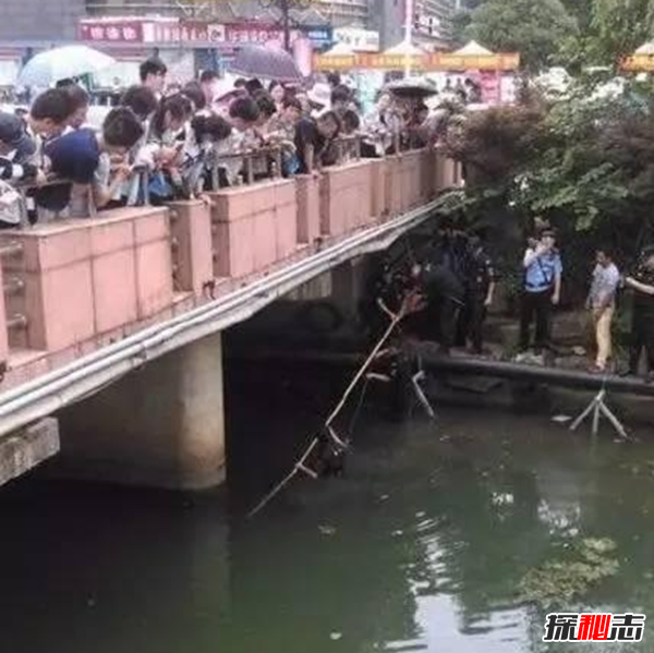 细数那些年发生的高考事件,高考答题卡掉包背后真相?发人深思424 / 作者:UFO爱好者 / 帖子ID:104902