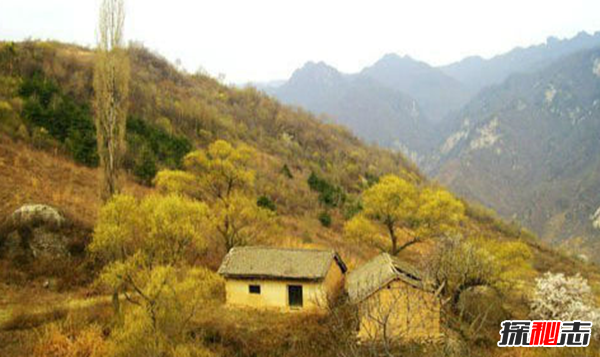 盘点各地发生的奇异事件,云南山村一母猪生8个男婴儿(怪事连连)269 / 作者:UFO爱好者 / 帖子ID:104903