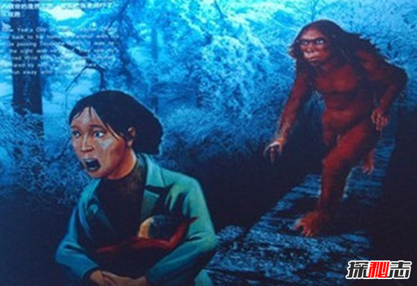 盘点各地发生的奇异事件,云南山村一母猪生8个男婴儿(怪事连连)524 / 作者:UFO爱好者 / 帖子ID:104903