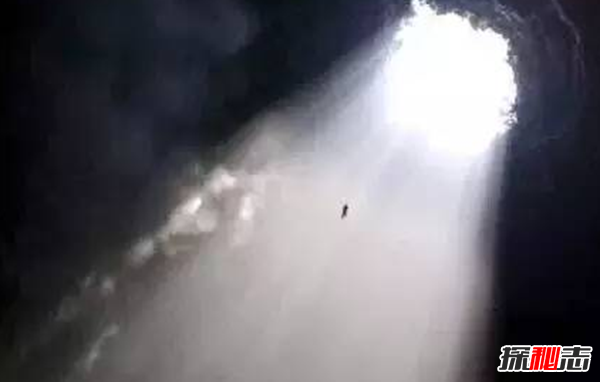 盘点各地发生的奇异事件,云南山村一母猪生8个男婴儿(怪事连连)34 / 作者:UFO爱好者 / 帖子ID:104903