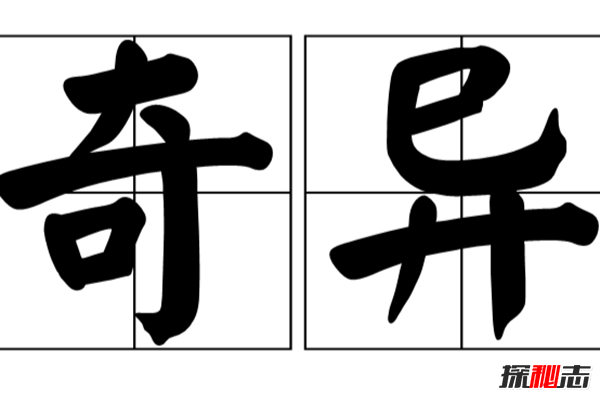 盘点各地发生的奇异事件,云南山村一母猪生8个男婴儿(怪事连连)443 / 作者:UFO爱好者 / 帖子ID:104903