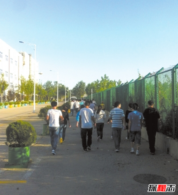 深思!盘点各地男生失踪事件,上海嘉定失踪男生尸体高度腐败8 / 作者:UFO爱好者 / 帖子ID:104868