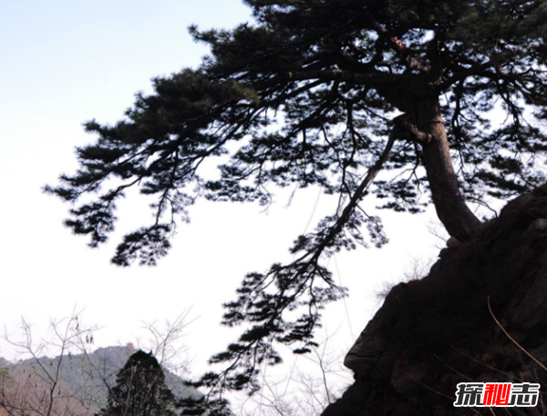 惊呆!为什么情侣不能爬泰山?爬泰山的注意事项200 / 作者:UFO爱好者 / 帖子ID:104859