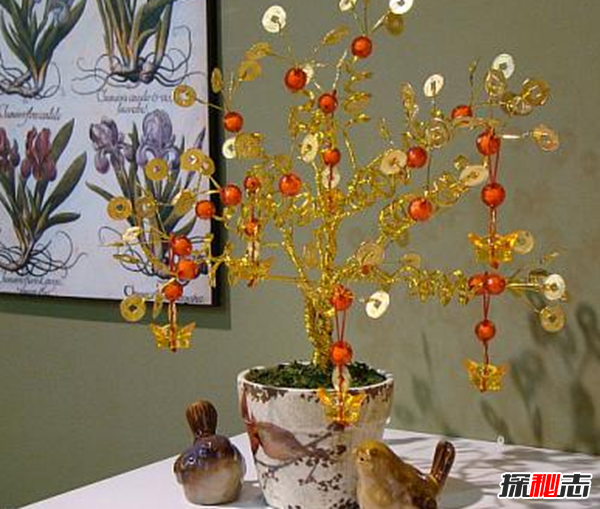 赶紧摆起来!八种植物招财又旺宅,万年青四季长青不衰败898 / 作者:UFO爱好者 / 帖子ID:104822