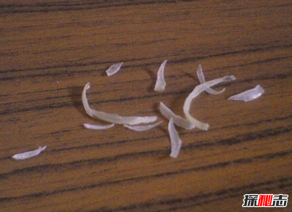 令人不安!酒店什么东西最脏,酒店房间最脏的十样东西243 / 作者:UFO爱好者 / 帖子ID:104790