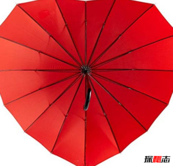 奇形怪状的雨伞你都见过吗?15把极其独特的雨伞673 / 作者:UFO爱好者 / 帖子ID:104791
