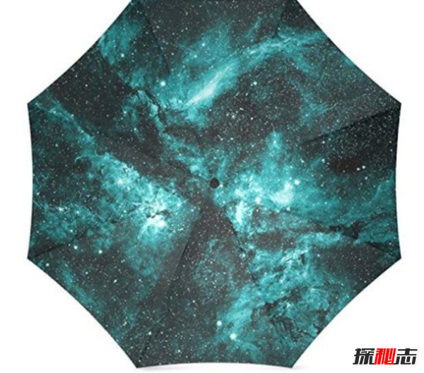 奇形怪状的雨伞你都见过吗?15把极其独特的雨伞495 / 作者:UFO爱好者 / 帖子ID:104791