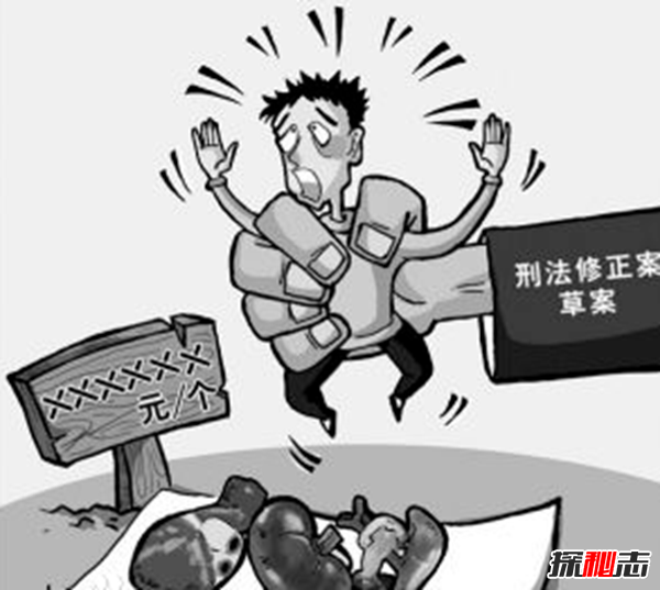 黑市器官交易太恐怖了!关于器官贩运的12恐怖事实230 / 作者:UFO爱好者 / 帖子ID:104788