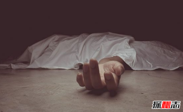 梦见害怕的梦被吓醒了?你应该知道的10个常见的噩梦含义715 / 作者:UFO爱好者 / 帖子ID:104778
