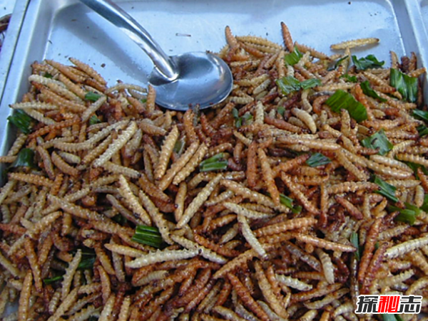 吃过吗?十大最火最奇怪的油炸食品,油炸竹虫在泰国极受欢迎551 / 作者:UFO爱好者 / 帖子ID:104766