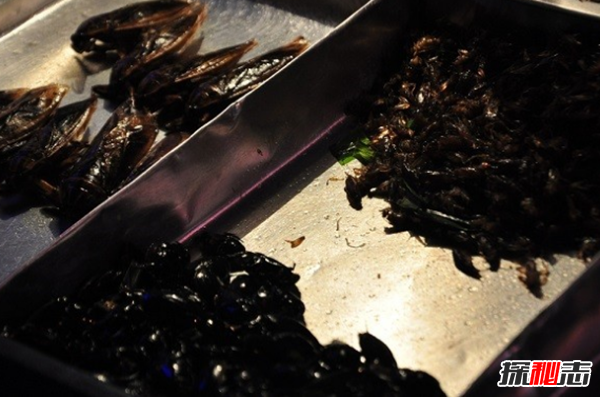 吃过吗?十大最火最奇怪的油炸食品,油炸竹虫在泰国极受欢迎923 / 作者:UFO爱好者 / 帖子ID:104766