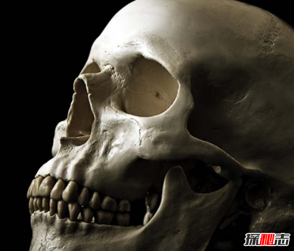 常见的意外死亡有哪些?最普遍的十大意外死亡案例499 / 作者:UFO爱好者 / 帖子ID:104761