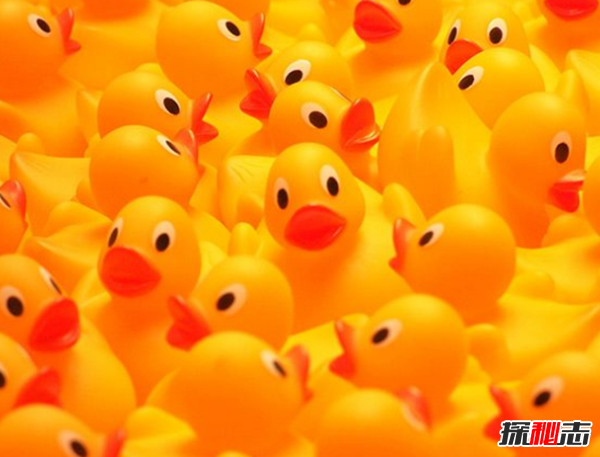 最奇怪的十大吉尼斯世界纪录,1008人参加最大规模滑雪泳装游行346 / 作者:UFO爱好者 / 帖子ID:104732