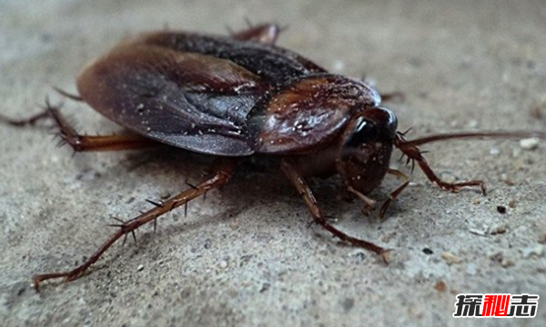 你被解雇了!10个被辞退的奇葩理由771 / 作者:UFO爱好者 / 帖子ID:104412