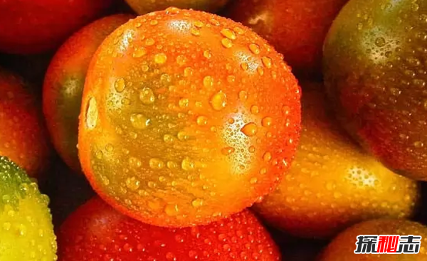 比砒霜还毒?盘点十大有毒快速致死食物,说不定你每天都在吃494 / 作者:UFO爱好者 / 帖子ID:89182