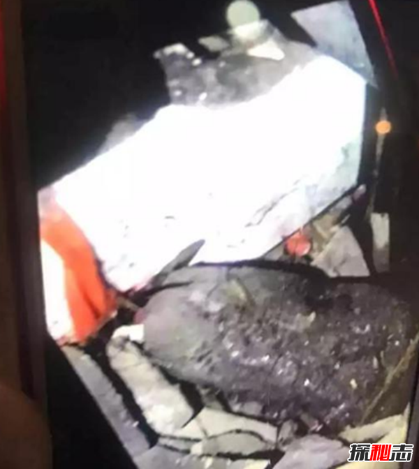 嵊州为什么突然这么火,嵊州天降不明物体是什么?904 / 作者:UFO爱好者 / 帖子ID:104565