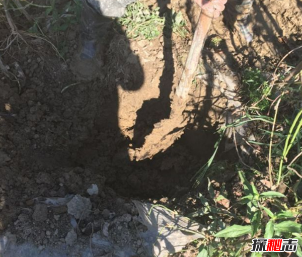 嵊州为什么突然这么火,嵊州天降不明物体是什么?926 / 作者:UFO爱好者 / 帖子ID:104565