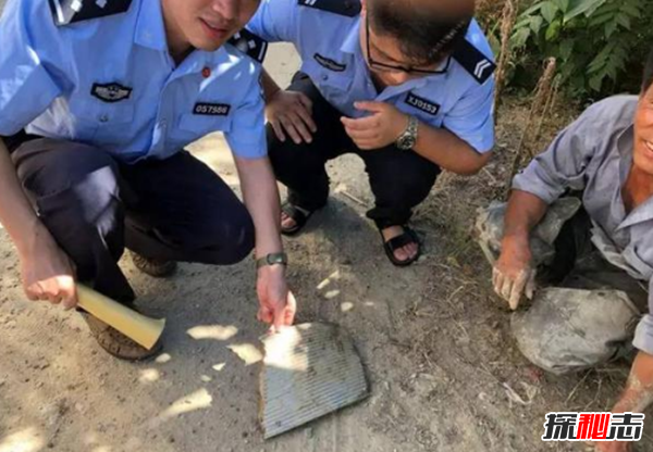 嵊州为什么突然这么火,嵊州天降不明物体是什么?752 / 作者:UFO爱好者 / 帖子ID:104565