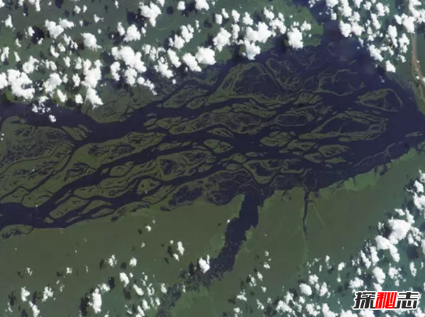 在太空可以看到什么?从太空看到地球上的十大巨物441 / 作者:UFO爱好者 / 帖子ID:98106