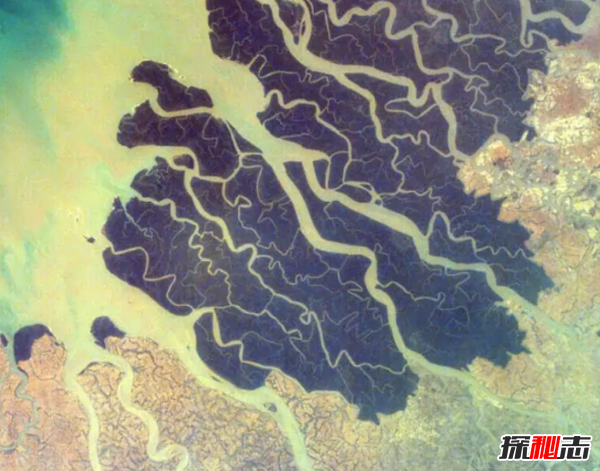 在太空可以看到什么?从太空看到地球上的十大巨物641 / 作者:UFO爱好者 / 帖子ID:98106