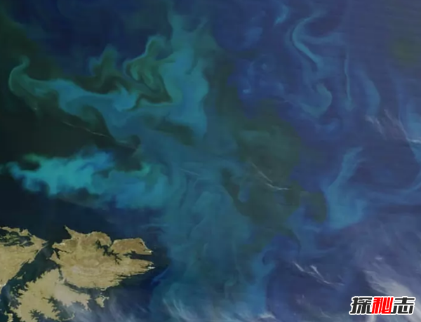 在太空可以看到什么?从太空看到地球上的十大巨物42 / 作者:UFO爱好者 / 帖子ID:98106