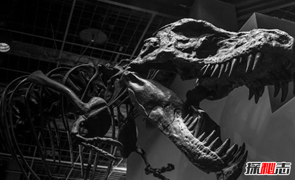 宇宙大小已被科学家证实?人类最伟大的十个科学发现543 / 作者:UFO爱好者 / 帖子ID:89143