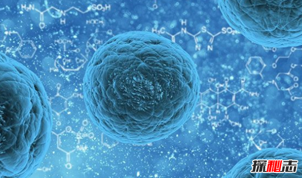 宇宙大小已被科学家证实?人类最伟大的十个科学发现870 / 作者:UFO爱好者 / 帖子ID:89143