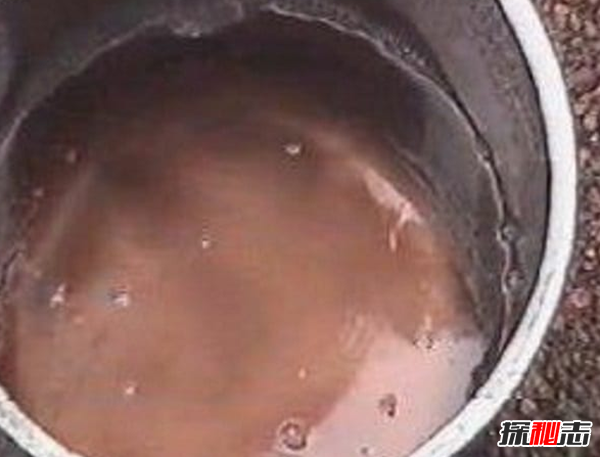 哪些自然现象预示天气?世界十大恐怖天气现象146 / 作者:UFO爱好者 / 帖子ID:98072