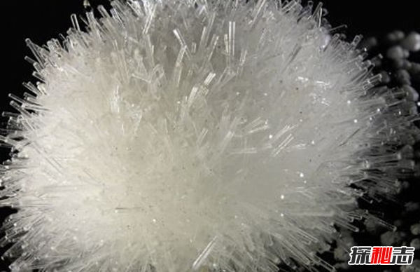 自然界十大常见元素,钠能调节人体血压(排名第六)902 / 作者:UFO爱好者 / 帖子ID:89036