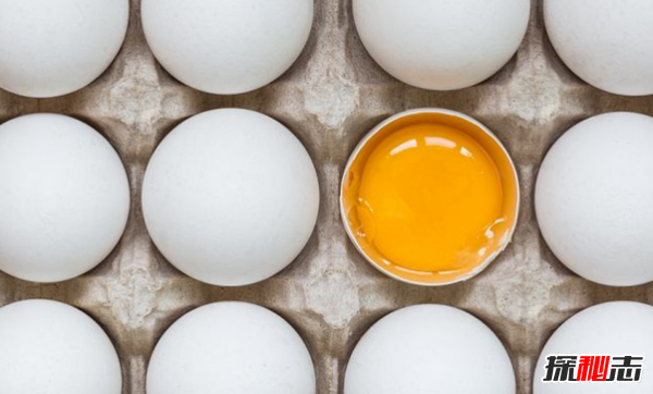 世界上吃鸡蛋最多的国家 第1生吃,第2当零食吃722 / 作者:UFO爱好者 / 帖子ID:97931