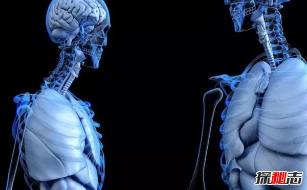 糙米是什么米?食用糙米给人体健康带来的十大功效与作用183 / 作者:UFO爱好者 / 帖子ID:76127