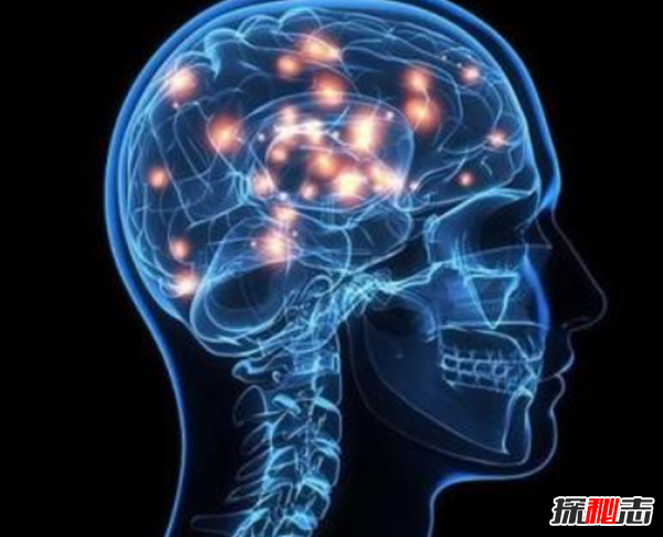 大脑开发100% 就成神了?大脑对人体的十大重要性521 / 作者:UFO爱好者 / 帖子ID:97965