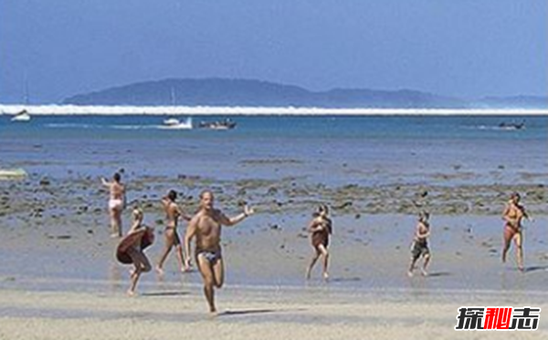 海啸的恐怖性有哪些?海啸给人们带来的十大危害371 / 作者:UFO爱好者 / 帖子ID:97960