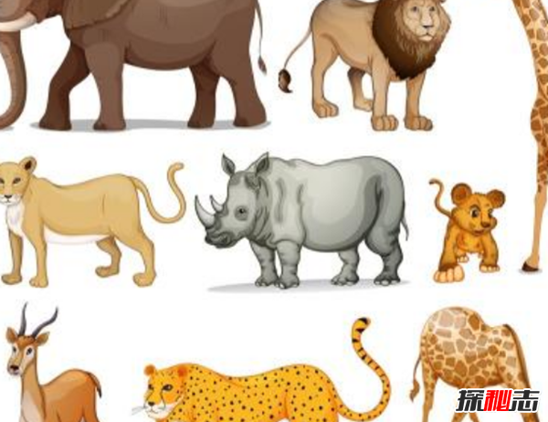 世界上人气最高的十种动物 你能猜中几种?(附图)591 / 作者:UFO爱好者 / 帖子ID:98158