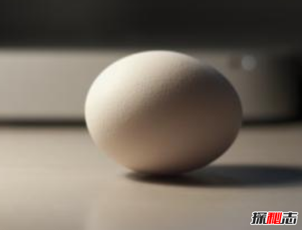 世界生产鸡蛋最多的10个国家 日本第四,第一实至名归777 / 作者:UFO爱好者 / 帖子ID:97929