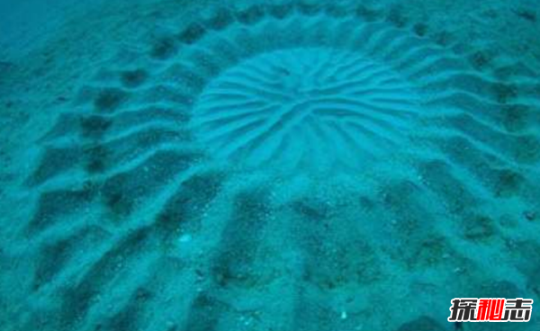 海洋现象有哪些?盘点海洋中的10个神秘现象(真实存在)581 / 作者:UFO爱好者 / 帖子ID:97764