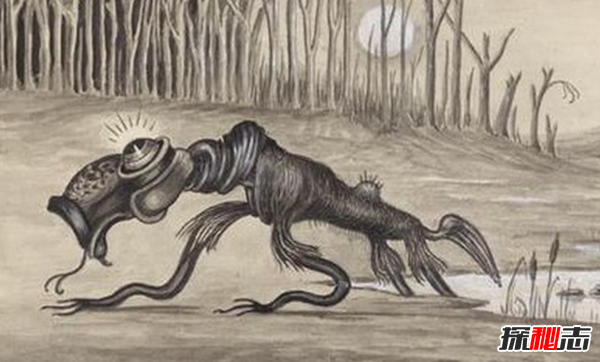 世界上出现的10大神秘物种 蜥蜴人你们都见过吗?(附图)468 / 作者:UFO爱好者 / 帖子ID:97273