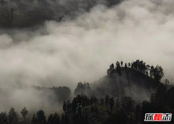 哪个国家森林面积最大?世界森林面积最大的10个国家992 / 作者:UFO爱好者 / 帖子ID:97453