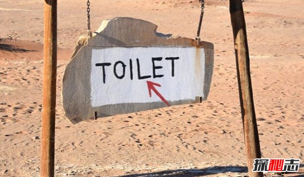 哪个国家厕所最少?盘点世界上厕所最少的10大国家(心酸)619 / 作者:UFO爱好者 / 帖子ID:96348