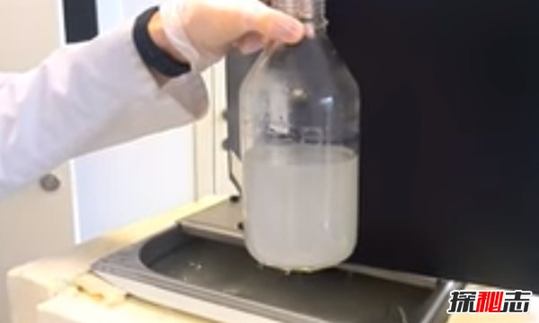 什么细菌最厉害?揭秘世界上十大最强细菌(所向披靡)219 / 作者:UFO爱好者 / 帖子ID:96154