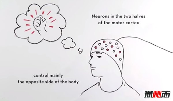 最新的科学技术有哪些?科学技术的十大突破(令人兴奋)803 / 作者:UFO爱好者 / 帖子ID:84232