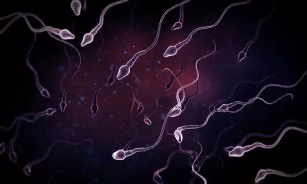 人类繁衍危机？西方男性精子数量锐减50%968 / 作者:UFO爱好者 / 帖子ID:86028