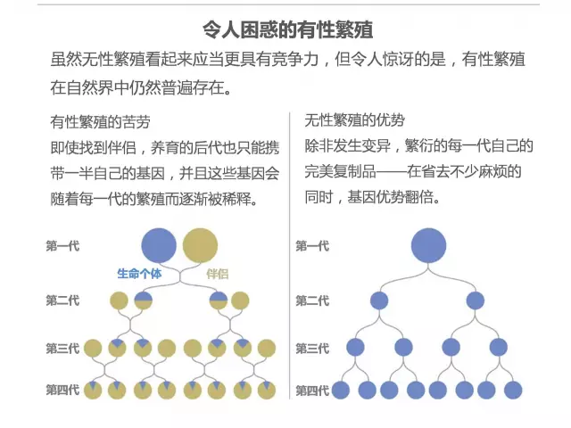 性对生物有什么用？234 / 作者:UFO爱好者 / 帖子ID:86017