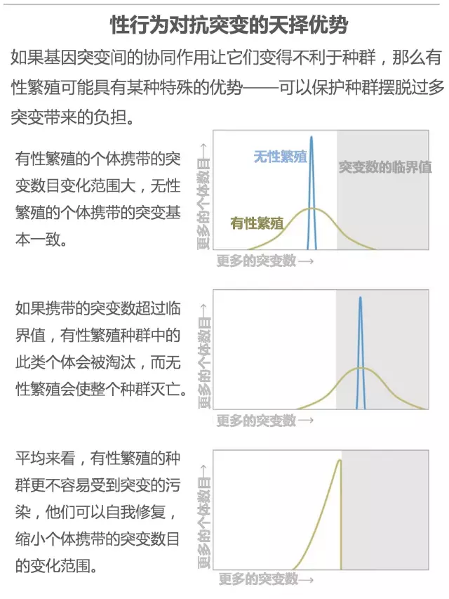 性对生物有什么用？50 / 作者:UFO爱好者 / 帖子ID:86017