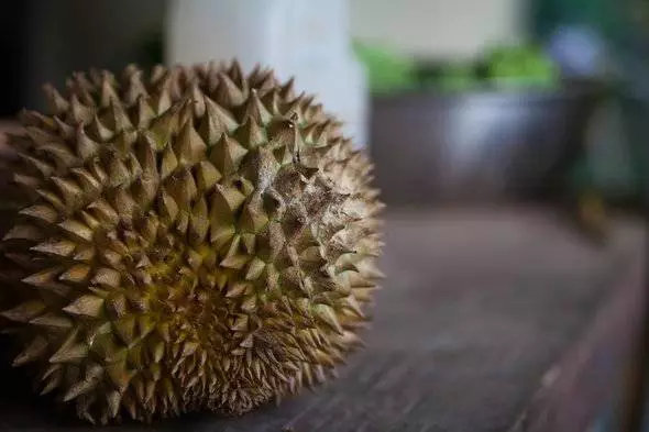 榴莲的独特气味是怎么来的？77 / 作者:UFO爱好者 / 帖子ID:85914
