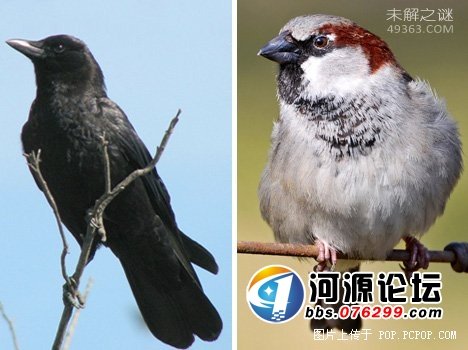 它能在充满辐射的外太空中生存,盘点十大生命力极强的生物871 / 作者:UFO爱好者 / 帖子ID:82156
