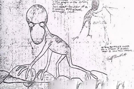 揭秘世界十大神秘生物真实面目,野人未被证实902 / 作者:UFO爱好者 / 帖子ID:84873